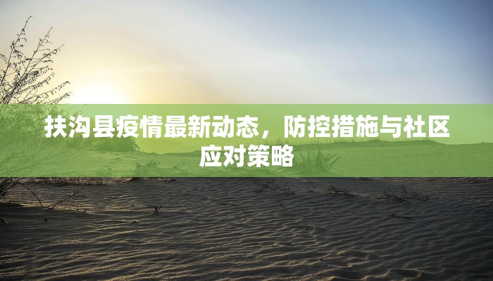 扶沟县疫情最新动态，防控措施与社区应对策略