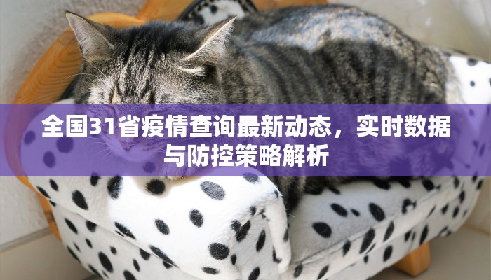 全国31省疫情查询最新动态，实时数据与防控策略解析