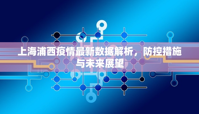 上海浦西疫情最新数据解析，防控措施与未来展望