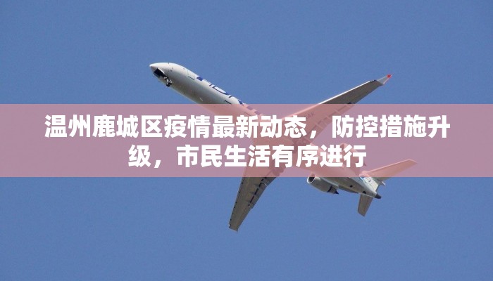温州鹿城区疫情最新动态，防控措施升级，市民生活有序进行