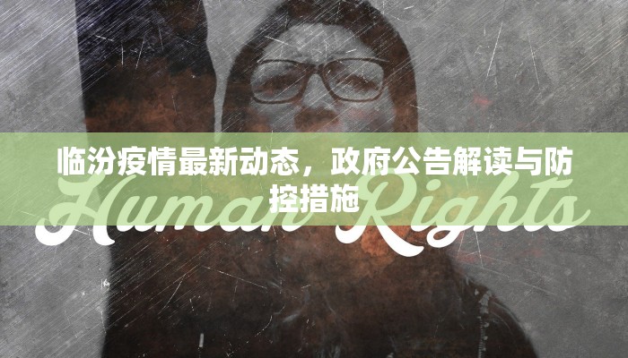 临汾疫情最新动态，政府公告解读与防控措施