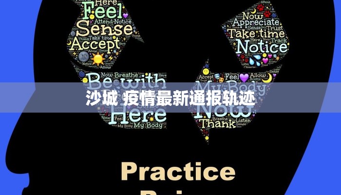 沙城 疫情最新通报轨迹