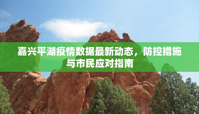嘉兴平湖疫情数据最新动态，防控措施与市民应对指南