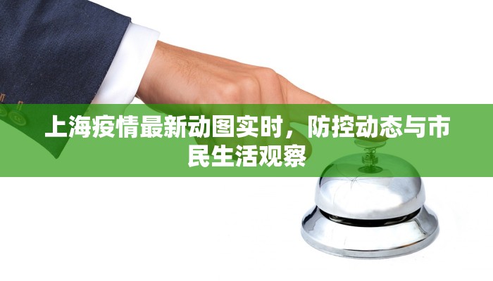河北邢台最新疫情通报，防控措施与市民应对指南