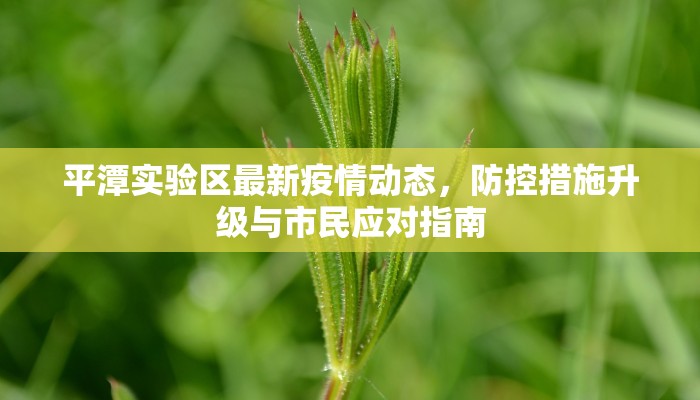 平潭实验区最新疫情动态，防控措施升级与市民应对指南