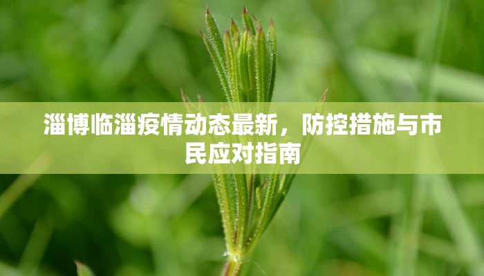 临汾县疫情最新公告消息，防控措施与市民应对指南