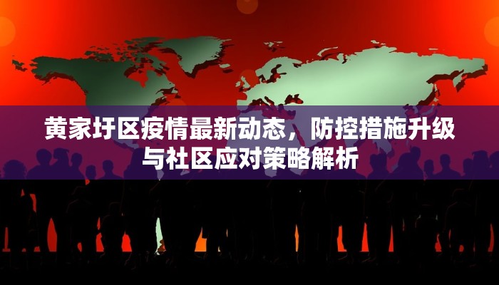 徽县疫情防控电话最新指南，快速获取防疫信息与帮助