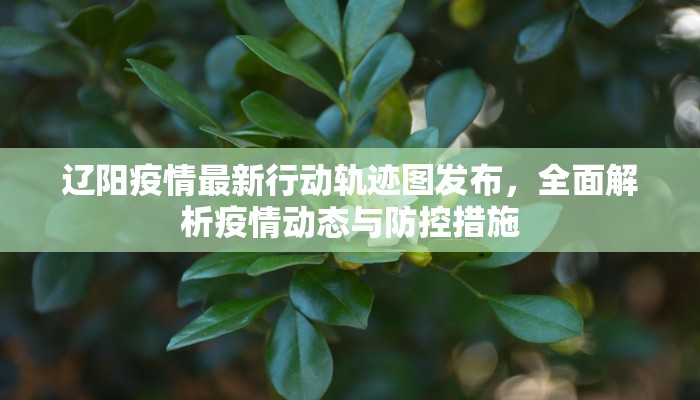 印度偷渡与疫情交织，最新动态与深层危机解析