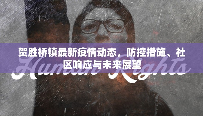 贺胜桥镇最新疫情动态，防控措施、社区响应与未来展望