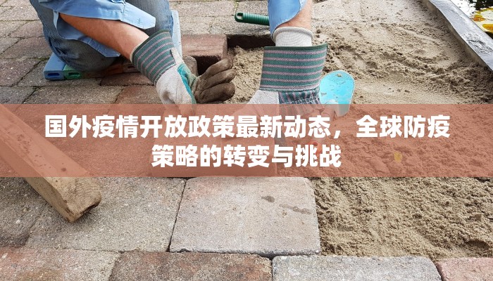 国外疫情开放政策最新动态，全球防疫策略的转变与挑战