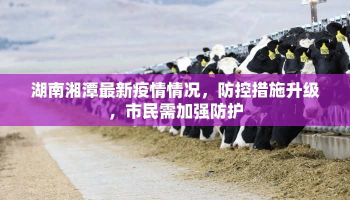 湖南湘潭最新疫情情况，防控措施升级，市民需加强防护