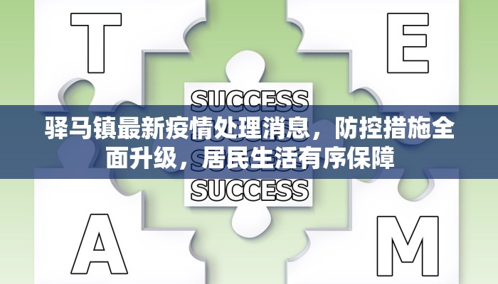 驿马镇最新疫情处理消息，防控措施全面升级，居民生活有序保障