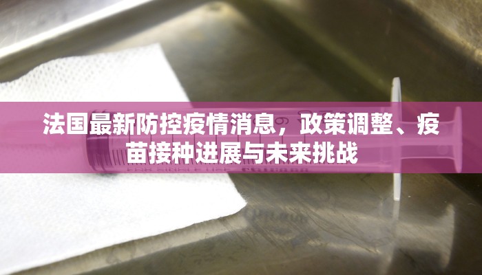 法国最新防控疫情消息，政策调整、疫苗接种进展与未来挑战