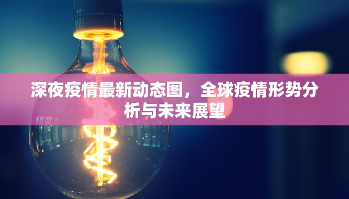 深夜疫情最新动态图，全球疫情形势分析与未来展望
