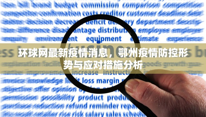 环球网最新疫情消息，鄂州疫情防控形势与应对措施分析