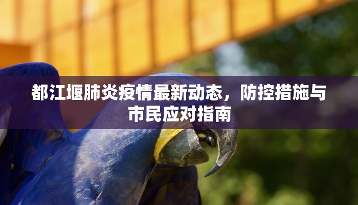 都江堰肺炎疫情最新动态，防控措施与市民应对指南