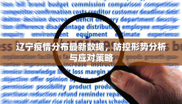 辽宁疫情分布最新数据，防控形势分析与应对策略