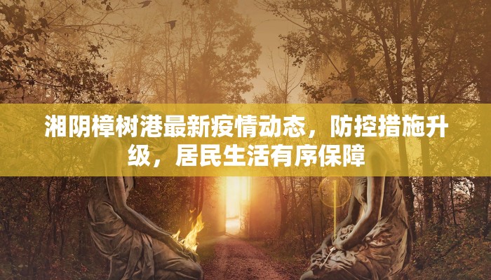 湘阴樟树港最新疫情动态，防控措施升级，居民生活有序保障