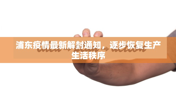 浦东疫情最新解封通知，逐步恢复生产生活秩序