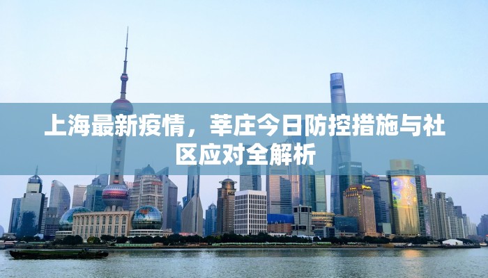 上海最新疫情，莘庄今日防控措施与社区应对全解析