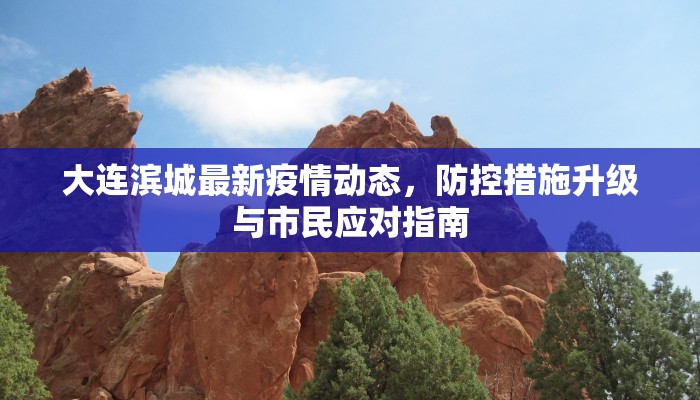 大连滨城最新疫情动态，防控措施升级与市民应对指南