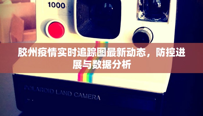 胶州疫情实时追踪图最新动态，防控进展与数据分析