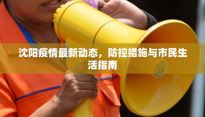 沈阳疫情最新动态，防控措施与市民生活指南