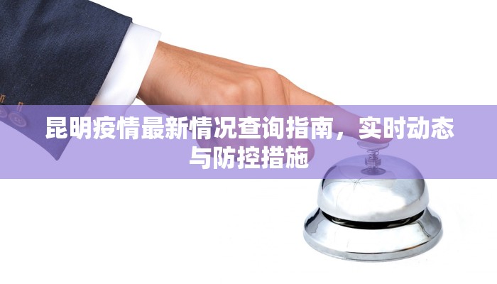 昆明疫情最新情况查询指南，实时动态与防控措施