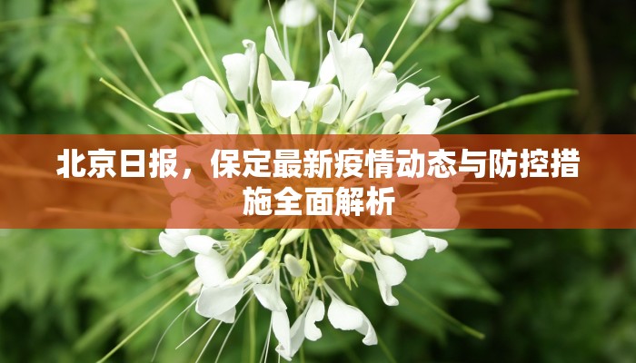 北京日报，保定最新疫情动态与防控措施全面解析