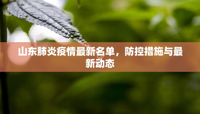 山东肺炎疫情最新名单，防控措施与最新动态