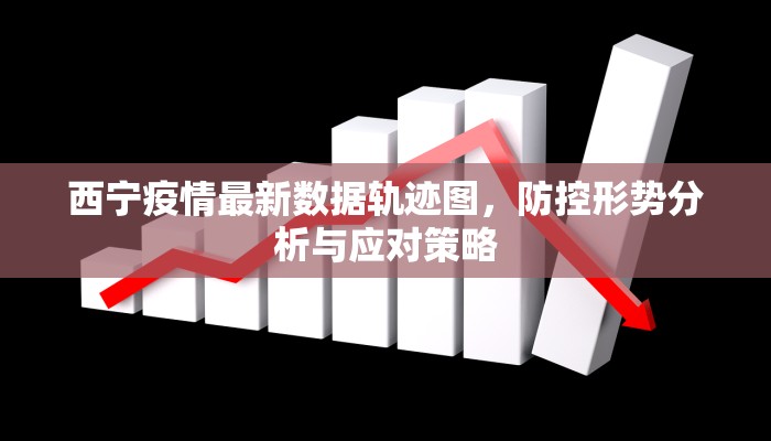 西宁疫情最新数据轨迹图，防控形势分析与应对策略