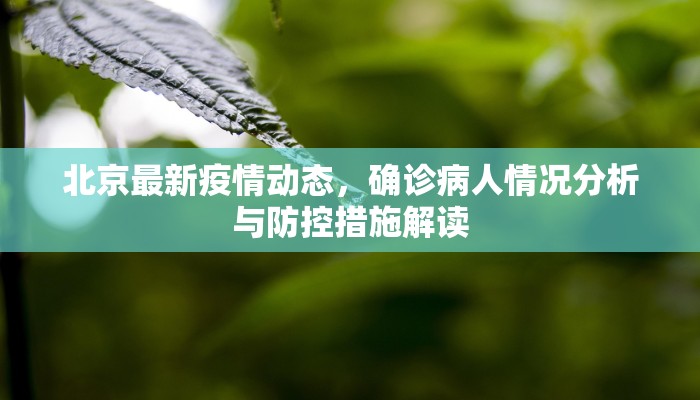 北京最新疫情动态，确诊病人情况分析与防控措施解读