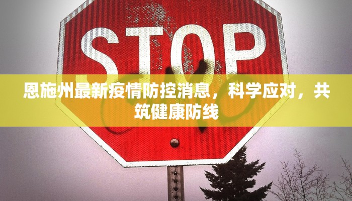 恩施州最新疫情防控消息，科学应对，共筑健康防线