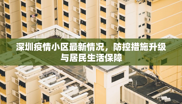 深圳疫情小区最新情况，防控措施升级与居民生活保障