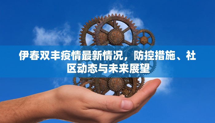 伊春双丰疫情最新情况，防控措施、社区动态与未来展望