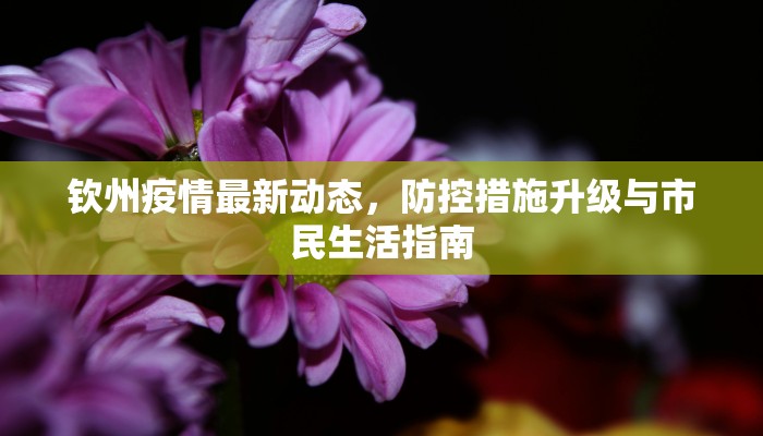 钦州疫情最新动态，防控措施升级与市民生活指南