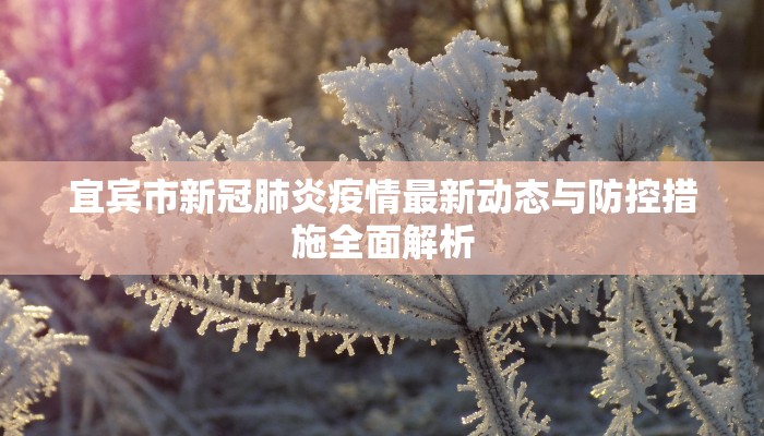 宜宾市新冠肺炎疫情最新动态与防控措施全面解析
