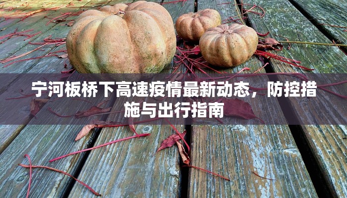 宁河板桥下高速疫情最新动态，防控措施与出行指南