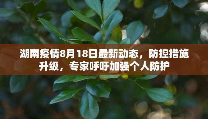 湖南疫情8月18日最新动态，防控措施升级，专家呼吁加强个人防护