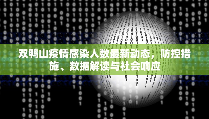 双鸭山疫情感染人数最新动态，防控措施、数据解读与社会响应