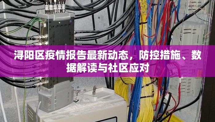 浔阳区疫情报告最新动态，防控措施、数据解读与社区应对