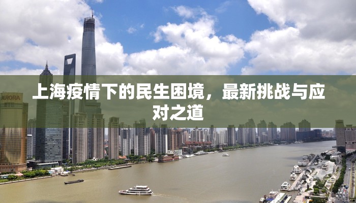 上海疫情下的民生困境，最新挑战与应对之道