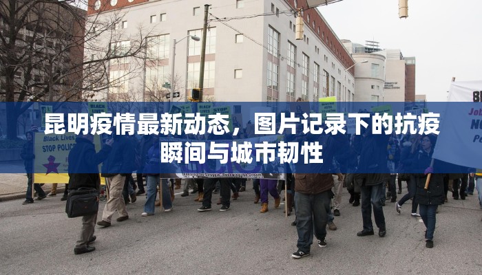 昆明疫情最新动态，图片记录下的抗疫瞬间与城市韧性