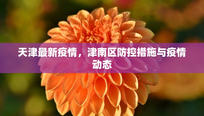 天津最新疫情，津南区防控措施与疫情动态