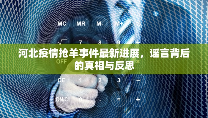 河北疫情抢羊事件最新进展，谣言背后的真相与反思