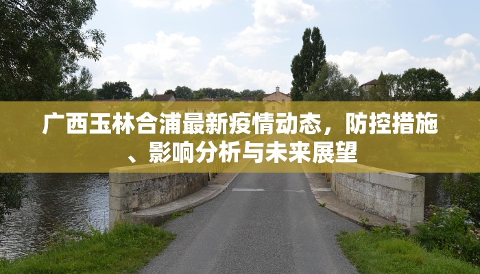 广西玉林合浦最新疫情动态，防控措施、影响分析与未来展望