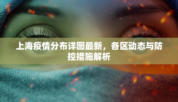 上海疫情分布详图最新，各区动态与防控措施解析