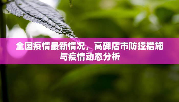 全国疫情最新情况，高碑店市防控措施与疫情动态分析