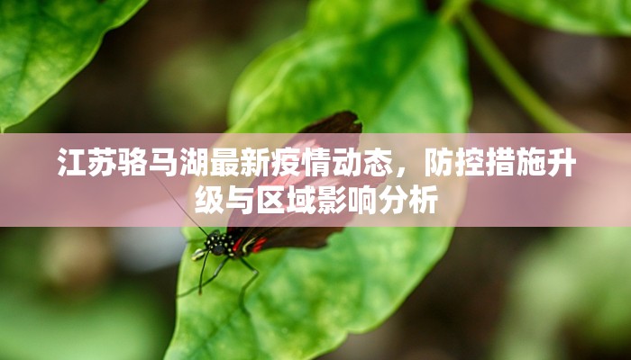 江苏骆马湖最新疫情动态，防控措施升级与区域影响分析