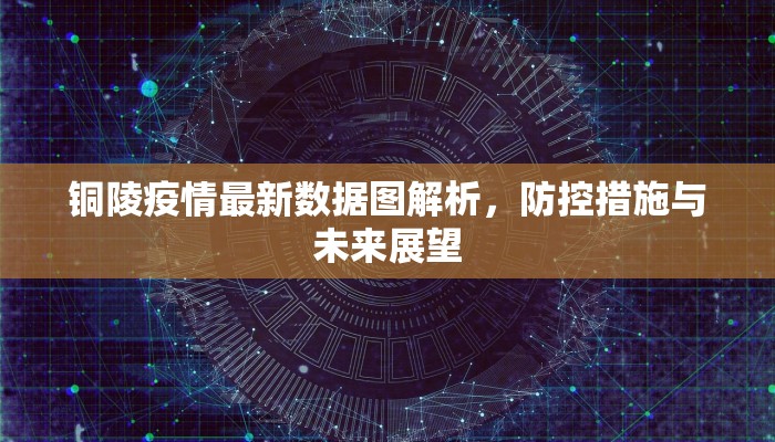 铜陵疫情最新数据图解析，防控措施与未来展望